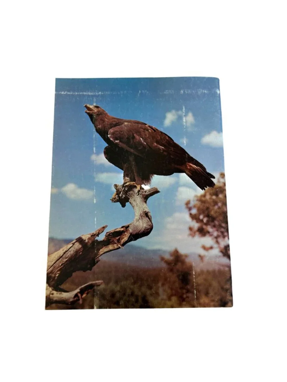 Arizona Highways Magazines April 1963 February 1972 VTG Photography Travel SW